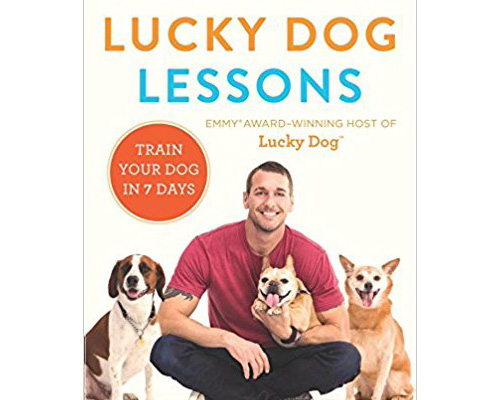 10. Lucky dog lessons: Train your dog in 7 days