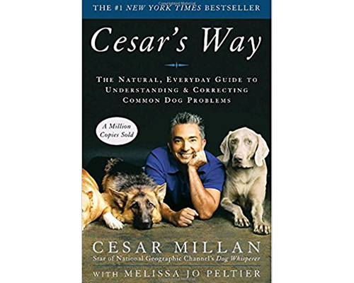 5. Cesar’s Way: The Natural, Everyday Guide to understanding and correcting common dog problems