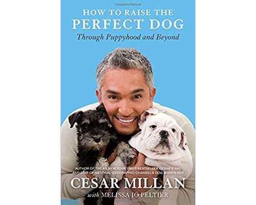 3. How to raise the perfect dog: Through Puppyhood and Beyond
