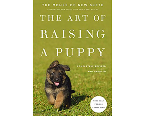 8. The Art of raising a puppy
