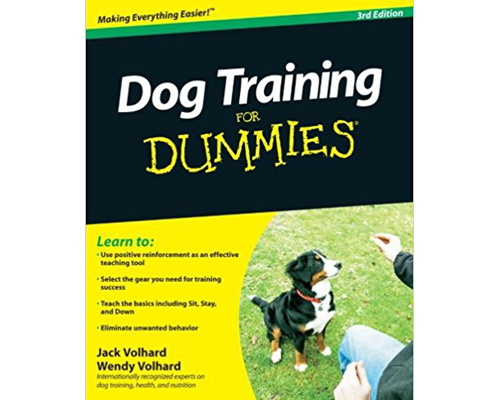 9. Dog training for dummies