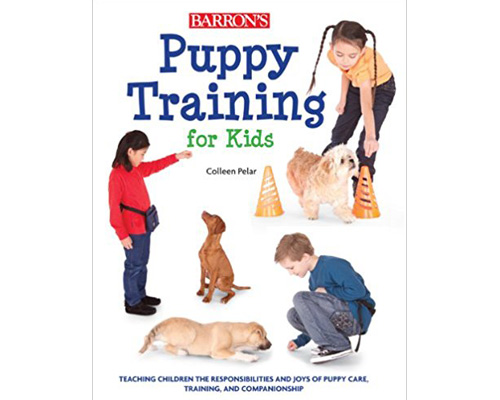 7. Puppy training for kids: Teaching the children the responsibilities and joys of puppy care, training and companionship