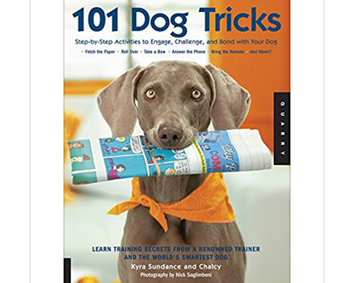 4. 101 Dog tricks: Step by Step Activities to engage, challenge, and bond with your dog